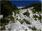 Planina Polog - Vrh Škrli